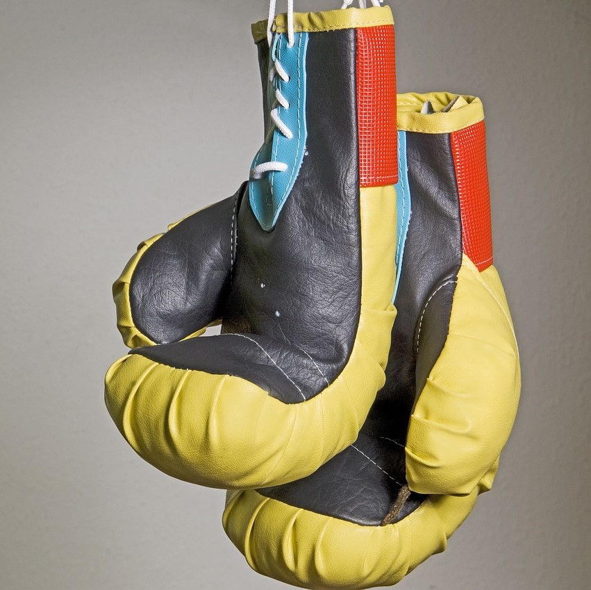 Guantoni da boxe