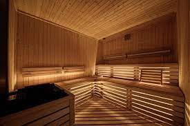 biosauna 