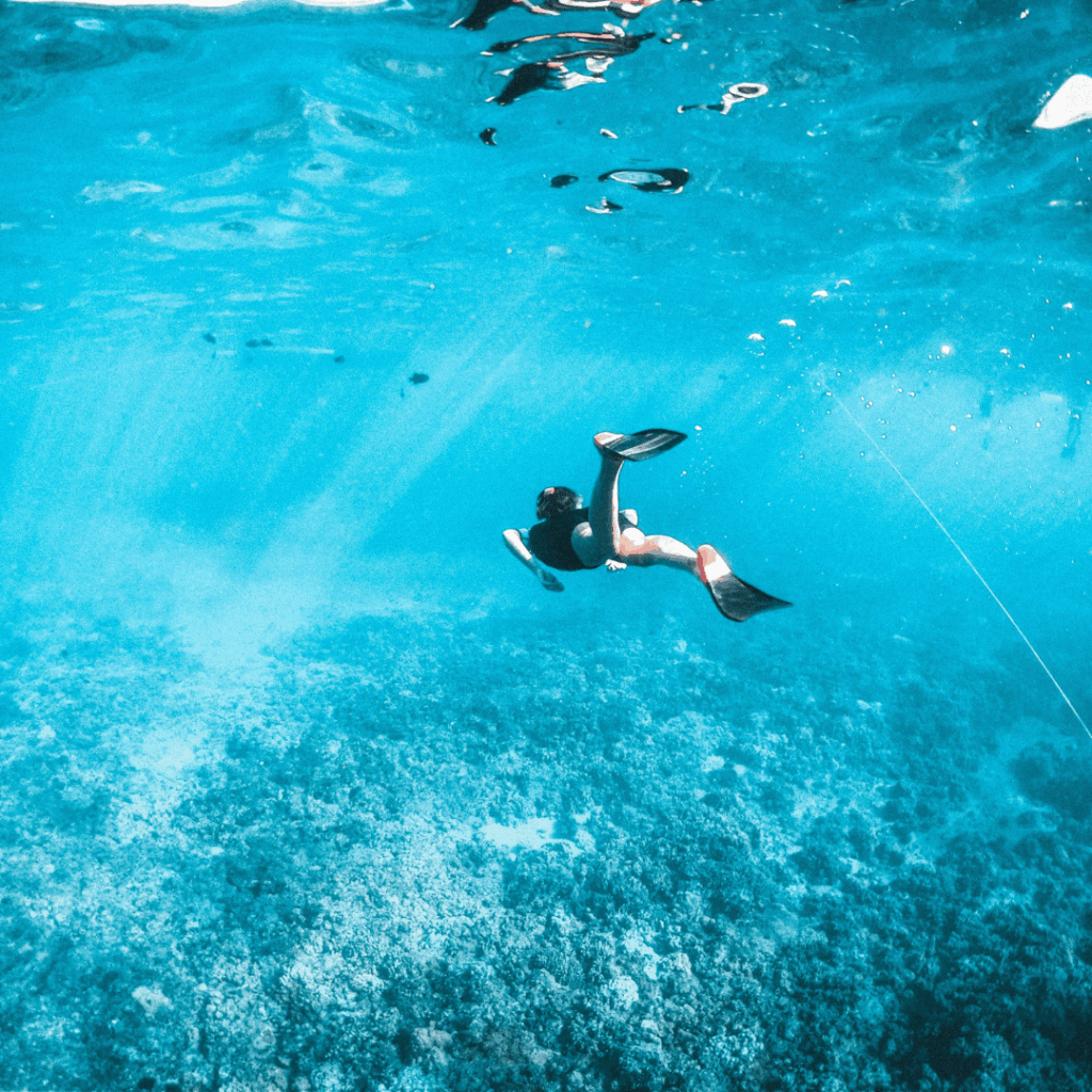 immersioni alle isole tremiti