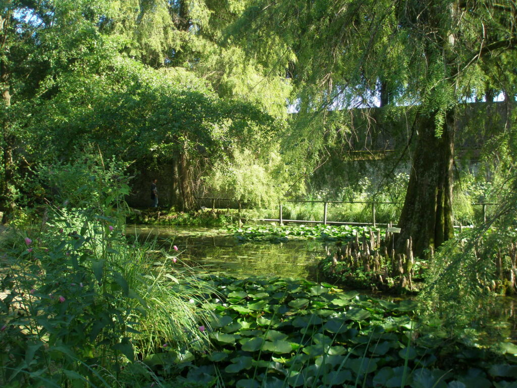 Orto Botanico Lucca