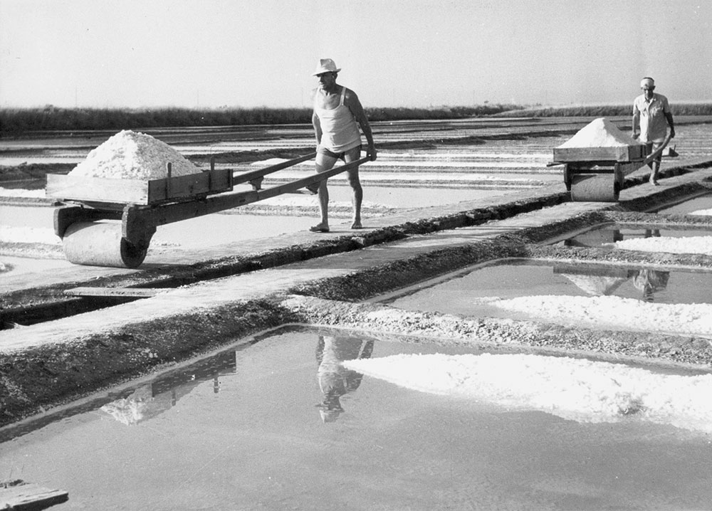 saline di cervia