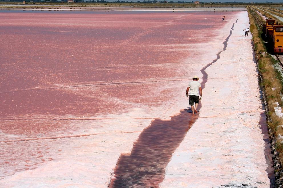 saline di cervia