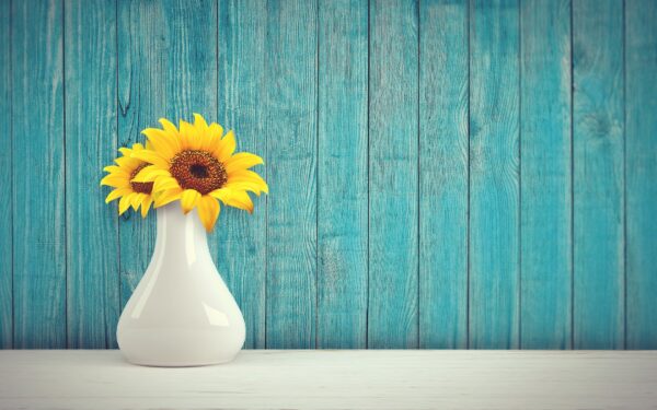 Girasoli - immagine 2